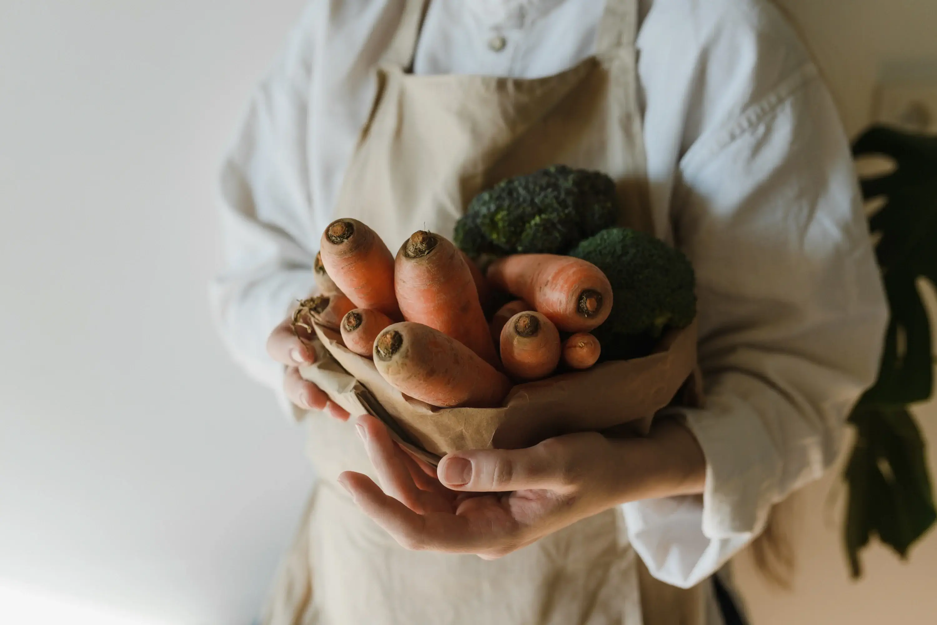 two hands holding a brown bag of produce