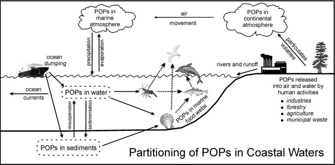 persistent organic pollutants